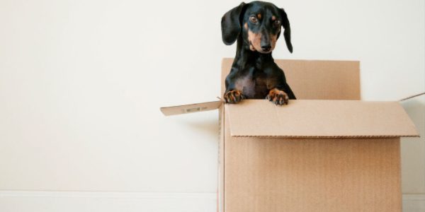 lease-purchase-programs (1) lease-purchase-programs (1)