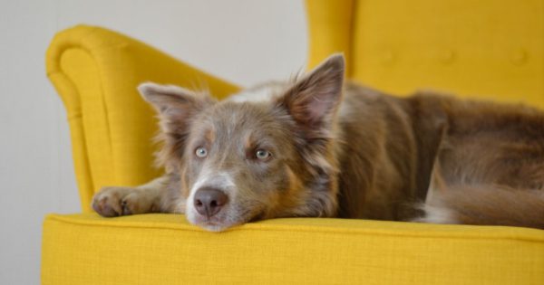 furniture-financing (2) furniture-financing (2)